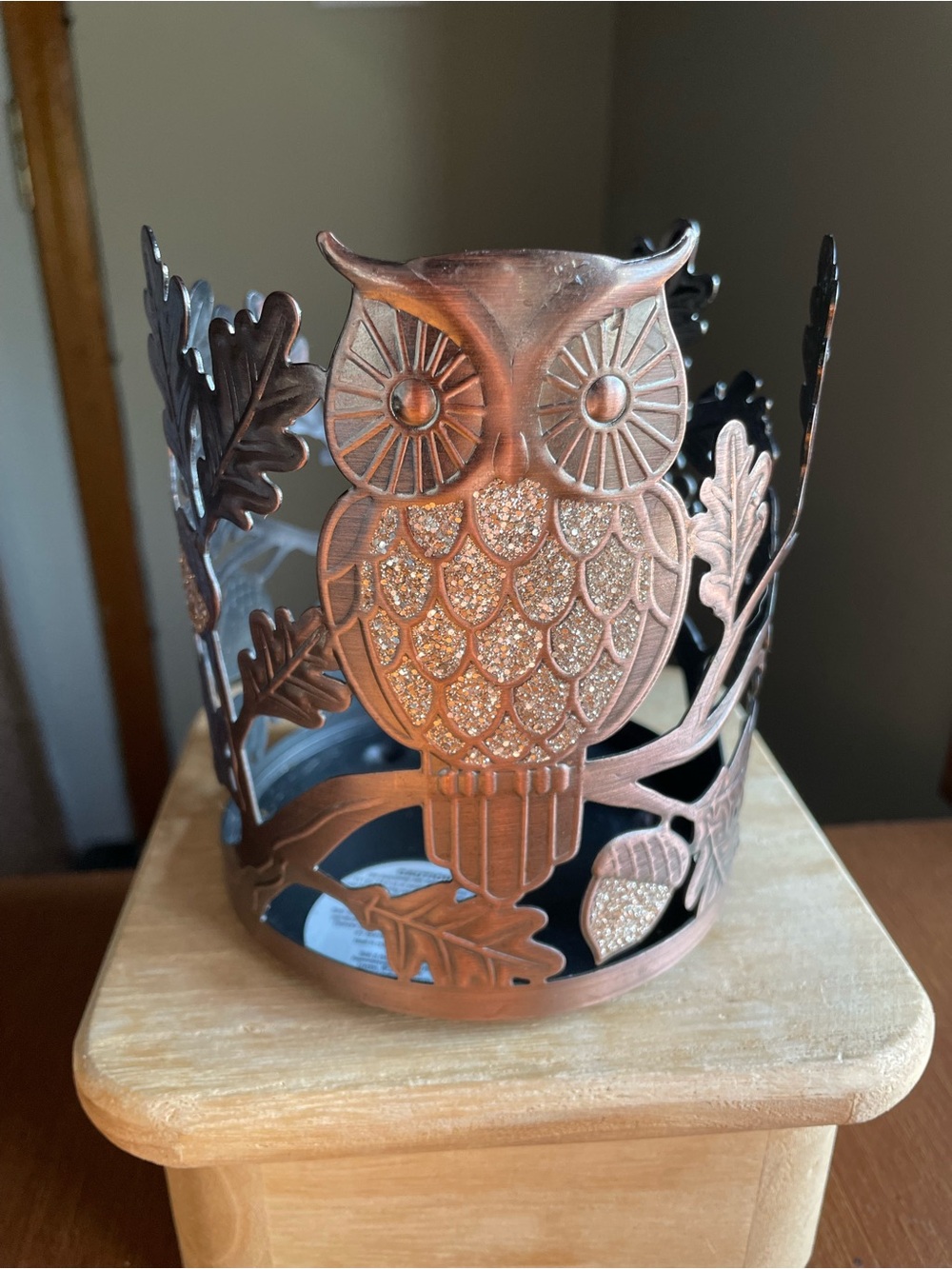 BATH & BODY WORKS Sparkly Owl Acorns Leaves 3 Wick Candle Holder Sleeve